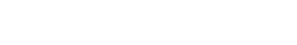 داستر