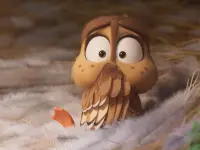 کوچ-Migration3
