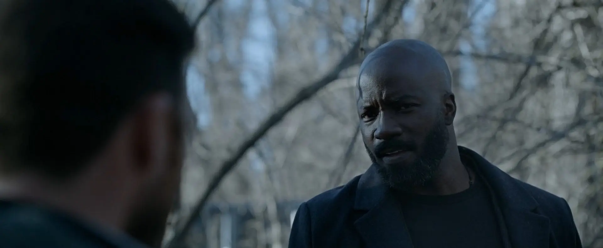 Alarum- Mike Colter