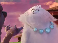 6 گارفیلد - The Garfield Movie