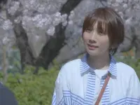 عشقی مثل گلبرگ های در حال ریزش - Love Like the Falling Petals عشقی مثل گلبرگ های در حال ریزش - Love Like the Falling Petals