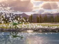 5 دایناسور خوب - The Good Dinosaur